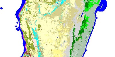 Kartes Madagaskaras veģetācijas